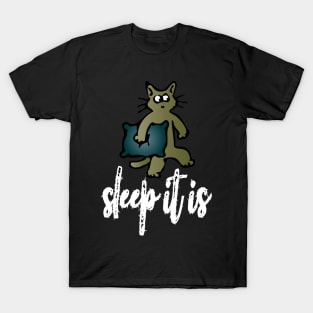 sleep it is T-Shirt